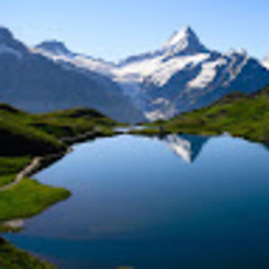 Meet your Posher, Timothy mitchel